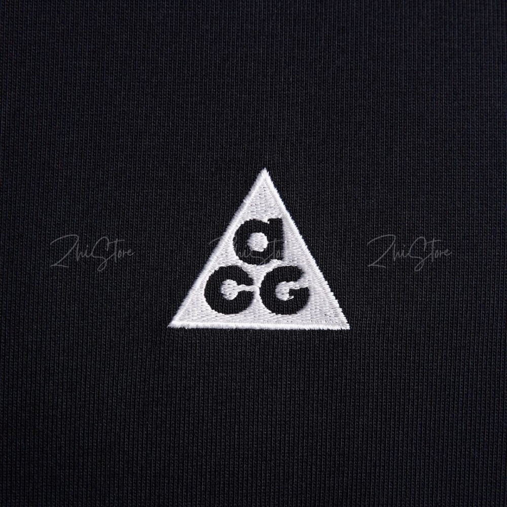 Nike ACG 寬鬆 重磅 大Logo 短袖上衣 t恤 美式上衣 短袖t恤 HJ0799-010