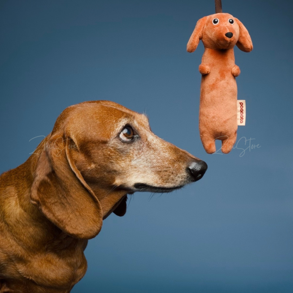 paaaata 臘腸狗吊飾 狗狗吊飾 吊飾 鑰匙圈 生日禮物 掛件 公仔 玩偶 掛飾 鑰匙圈 鑰匙扣